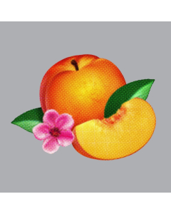 PHOENIX - BANKRUPT