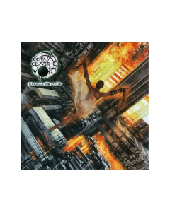 Coma Cluster Void - Thoughts From A Stone