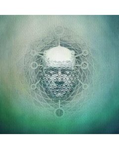 You Are Creating: Limb1 (Clear W/Green Spots Vinyl) - 22