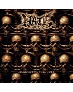 Awakening Of The Liar (Red Vinyl) - Hate