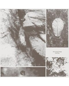 All Living Things - Jiha,Park