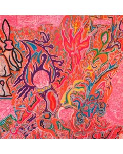FLUTE & VOICE - IMAGINATIONS OF LIGHT (GATEFOLD)