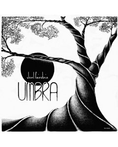 Umbra - Joel Fairstein