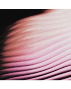 POLAR - EVERYTHING, EVERYWHERE