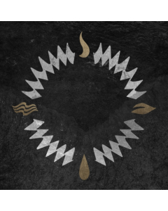 OUR, HOLLOW, OUR HOME - BURN IN THE FLOOD DELUXE (GOLD/BLACK INKSPOT VINYL/2LP)