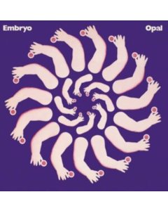 EMBRYO - OPAL