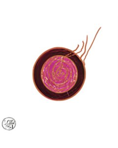 Sleeping Beauty - Sun Ra