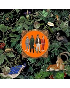 Amazing Things - Don Broco