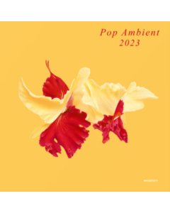 VARIOUS ARTISTS - POP AMBIENT 2023
