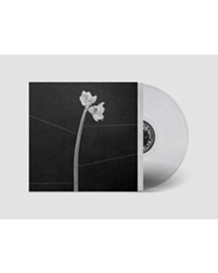 Dreamweaver - Trentemoller