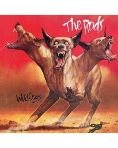 RODS - WILD DOGS (ORANGE VINYL)