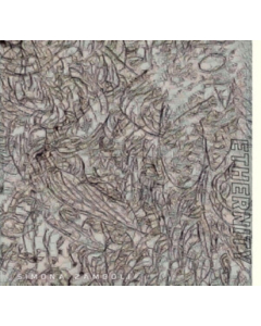 ZAMBOLI,SIMONA - ETHERNITY