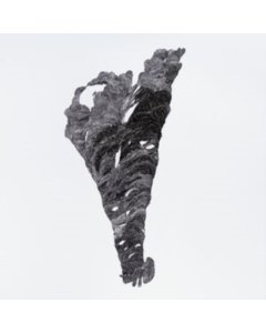 Triangle - Elektro Guzzi