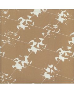 STRING - LAST INDEX OF...