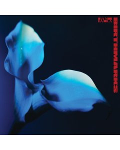 Birthmarks (Cloudy Clear Vinyl) - Bambara