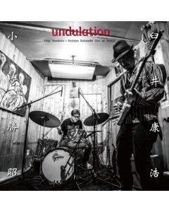 Undulation  - Yasuhiro & Katsuaki Komiya Usui