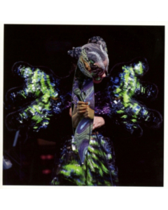 BJORK - VULNICURA