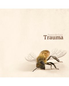 BANCO DE GAIA - TRAUMA