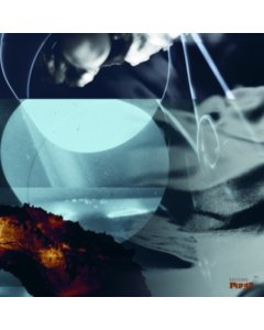 Vanish - Reidy,Julia