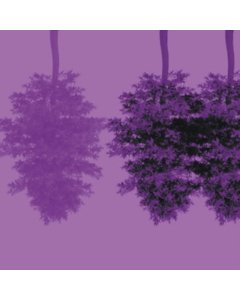 TAKAMAKI,JONE; UMUT CAGLAR; FAHRETTIN AYKUT - MYTH OF THE DRUM. URBAN TRANSFORMATION
