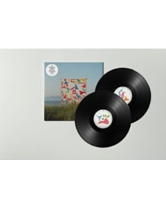 HALSALL,MATTHEW - EVER CHANGING VIEW (2LP)