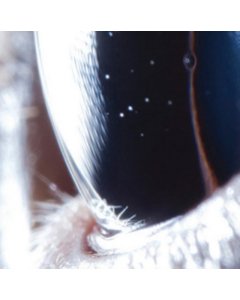 Third Law - Roly Porter