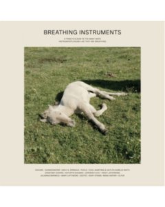 VARIOUS ARTISTS - BREATHING INSTRUMENTS