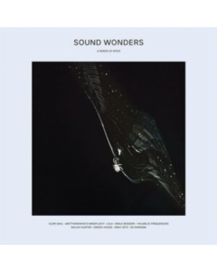 VA - SOUND WONDERS: A SERIES OF EPICS