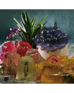 Starting At Clocks (Import) - Bitch Falcon