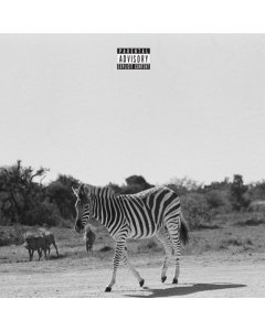 LOUIS VI - EARTHLING