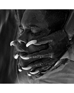 Angels & Queens - Gabriels