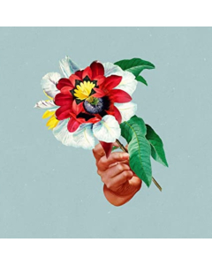 MARIBOU STATE - KINGDOMS IN COLOUR