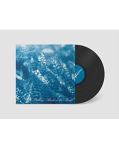 Looking Back At The World (I) - Gentle Spring