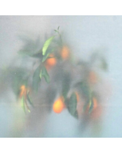 Μ-ZIQ & MRS JYNX - SECRET GARDEN (LTD/GREEN VINYL)