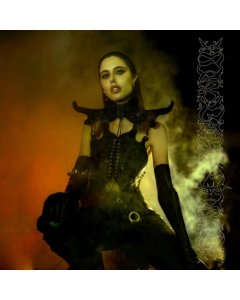PTWIGGS - DARKENING OF LIGHT