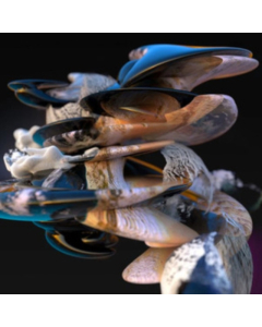 GAMBLE,LEE - MILLION PIECES OF YOU EP (CLEAR VINYL)