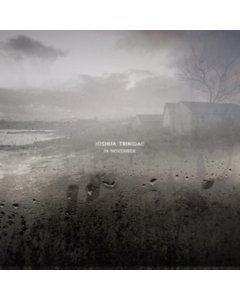 TRINIDAD,JOSHUA - IN NOVEMBER