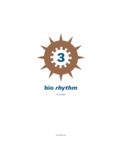 VARIOUS ARTISTS - BIO RHYTHM 3: RE-INDULGE (2LP)