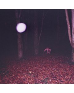 Skinwalker - Buzzard Buzzard Buzzard