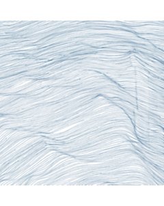 Two Centuries (Clear Vinyl) - Qasim; Wadada Leo Smith & Andrew Cyrille Naqvi