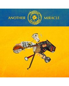 Another Miracle - Steve 'N' Seagulls