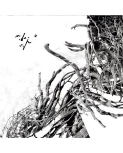 Virstele Pamintului - Negura Bunget