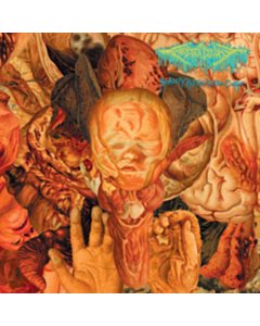 Reality Rotten To The Core - Festerdecay