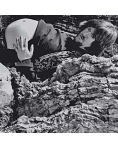 Immaculate Concept Album (2Lp) - Ebbot Lundberg