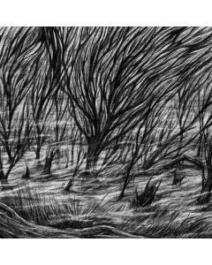 BISMUTH - ETERNAL MARSHES