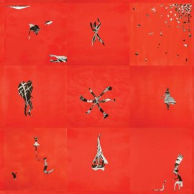 ANIMAL COLLECTIVE - HOLLINNDAGAIN