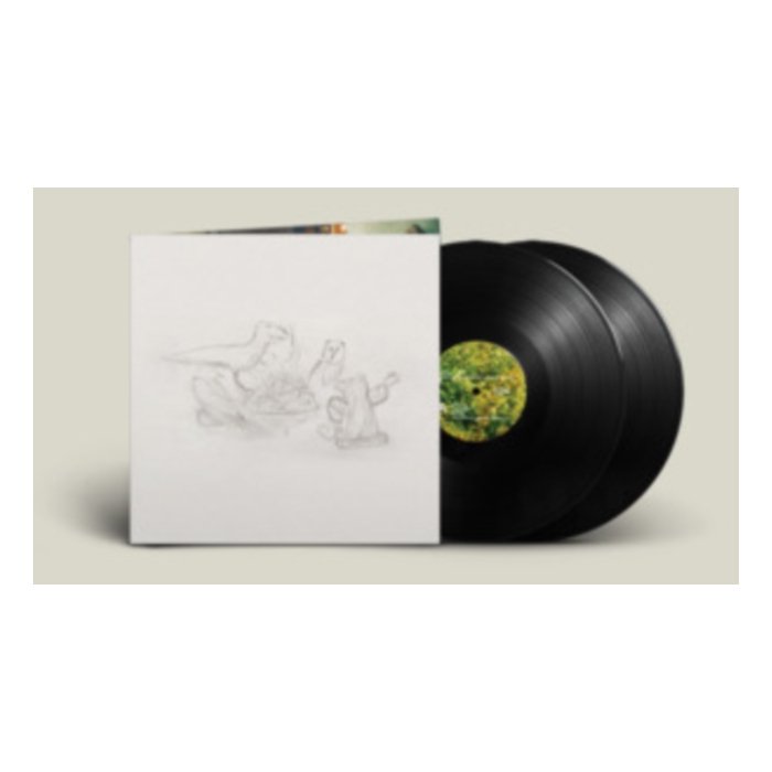 BIG THIEF - DRAGON NEW WARM MOUNTAIN I BELIEVE IN YOU (2LP)