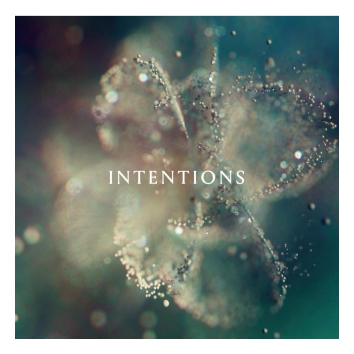 ANNA - INTENTIONS (2LP)