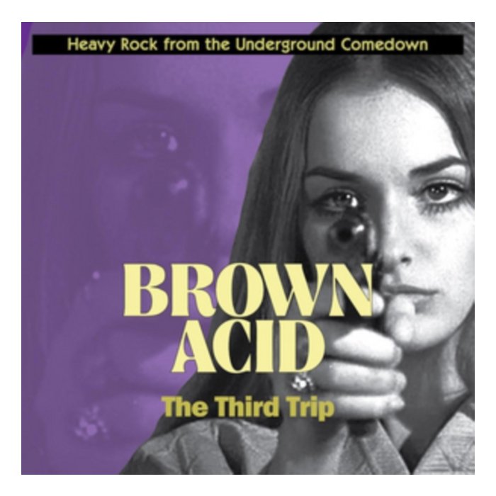 VARIOUS ARTISTS - BROWN ACID: THE THIRD TRIP