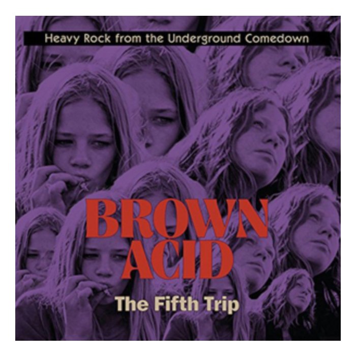 VARIOUS ARTISTS - BROWN ACID: THE FIFTH TRIP